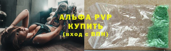 СК Алексин