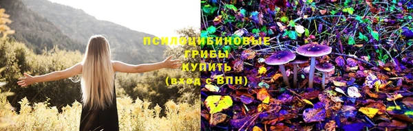 прущие крисы Саяногорск