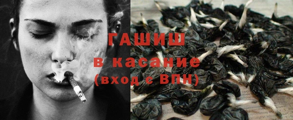 твердый Абаза