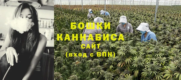 прущие крисы Саяногорск